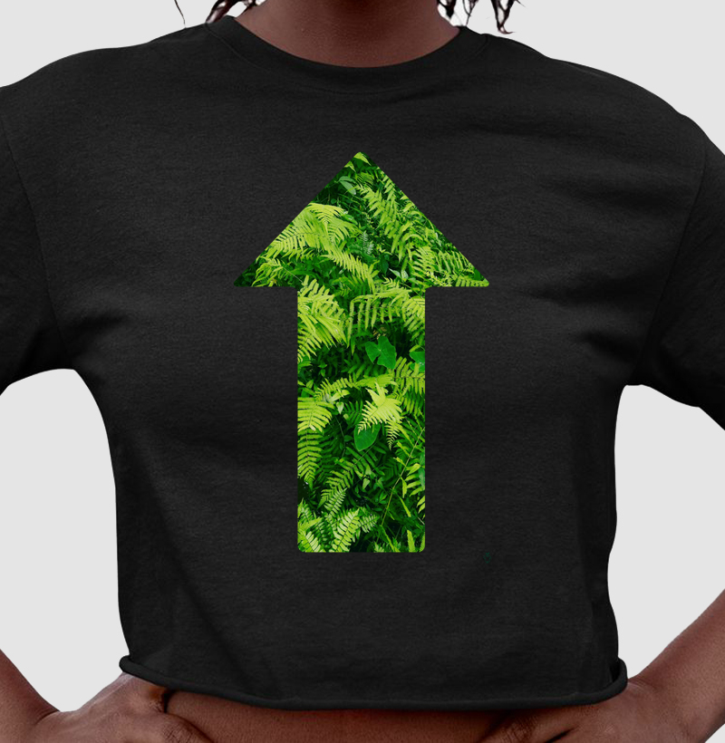 Siga o caminho da Natureza