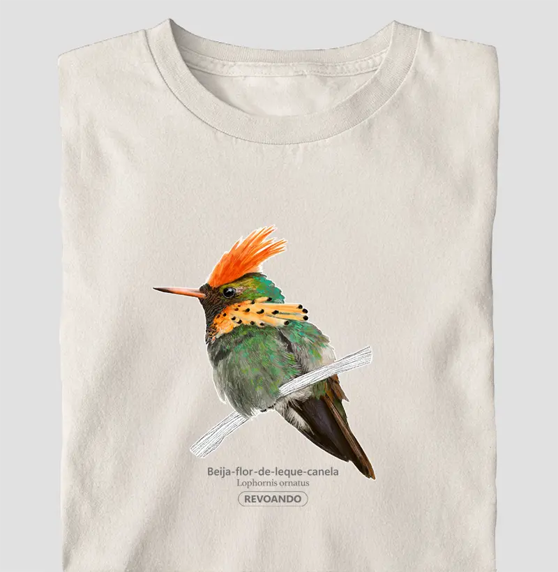 Aves do Brasil - Beija-flor-de-leque-canela - Oversized