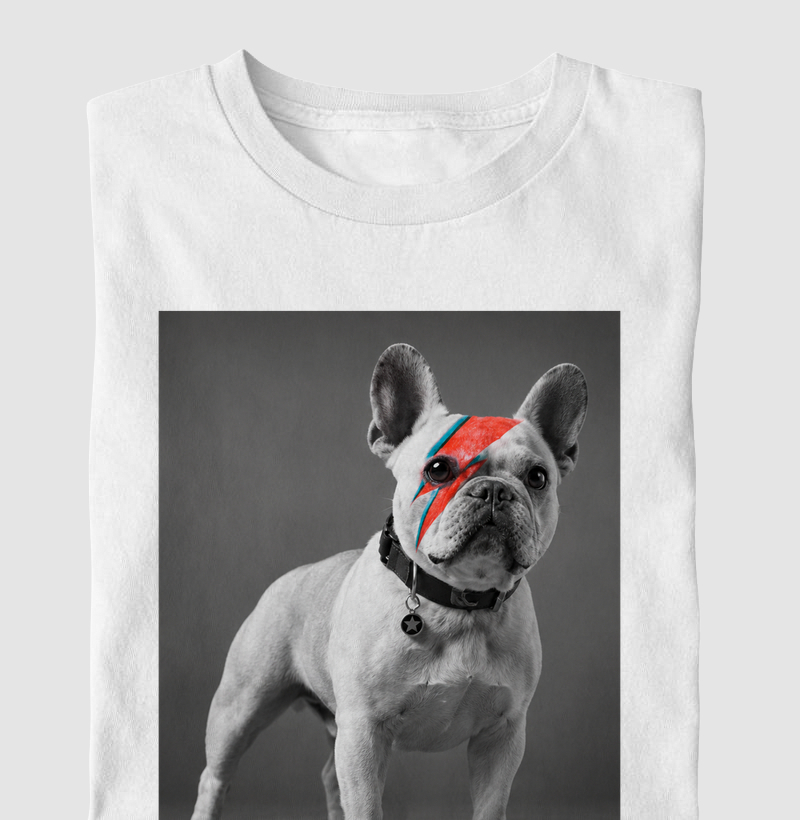 Glam Rock Frenchie ⚡