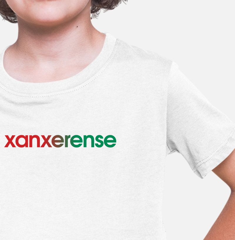 Camiseta Infantil Xanxerense Cores da Bandeira
