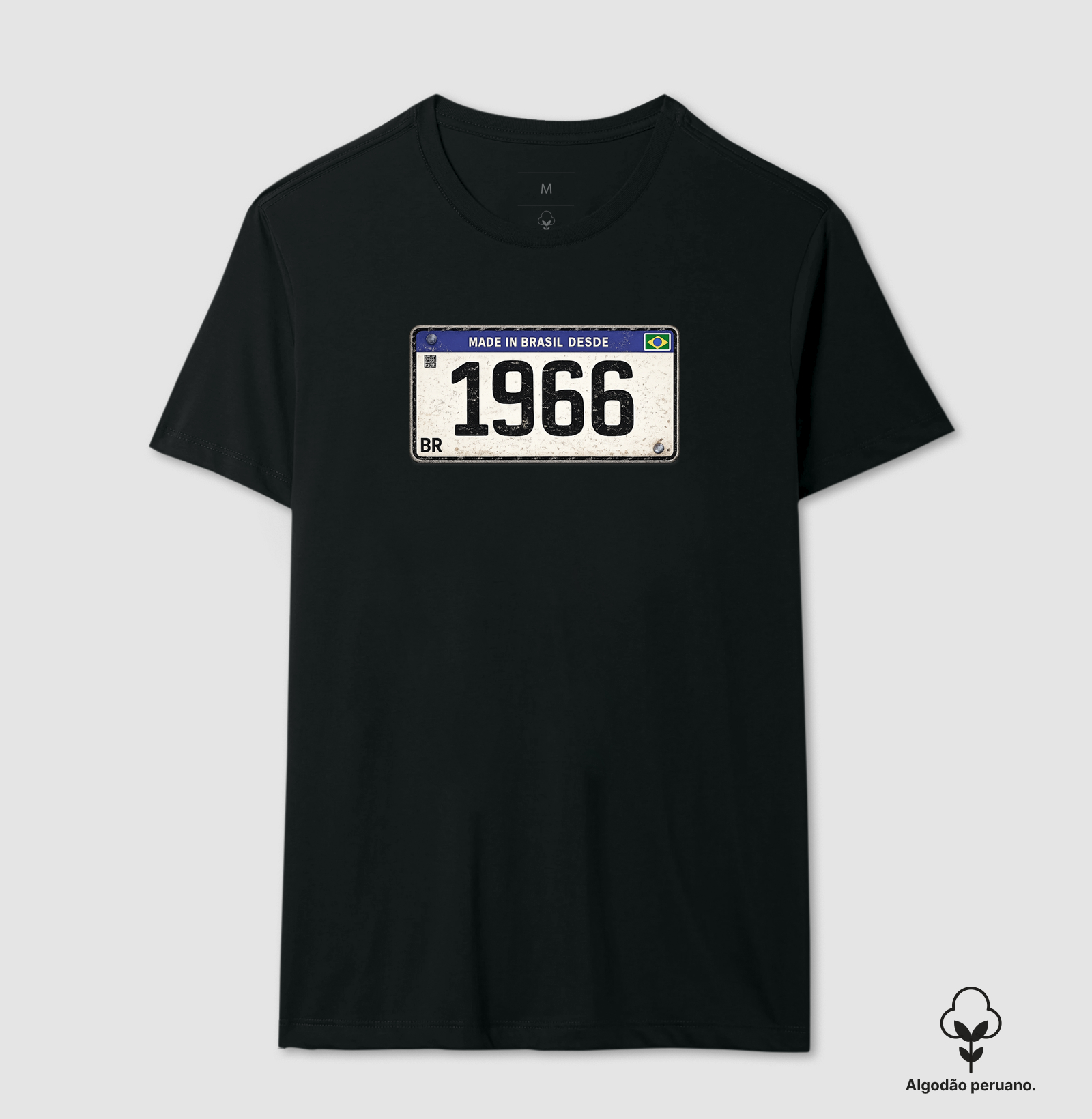 PLACA 1966