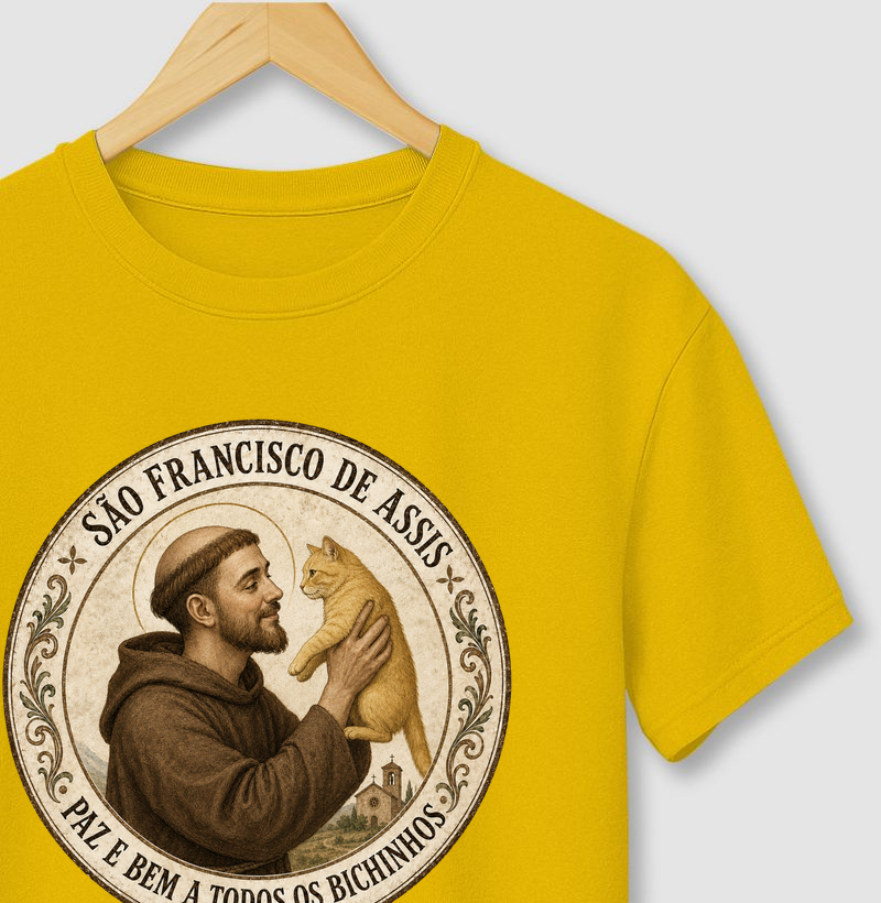 São Francisco e gato amarelo
