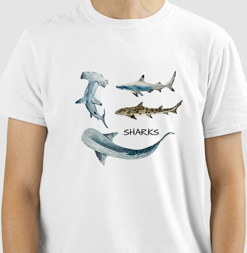 The Sharks