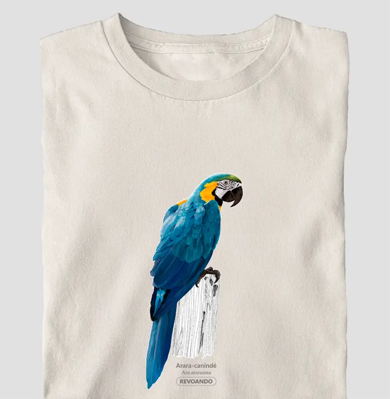 Aves do Brasil - Arara-canindé - Oversized