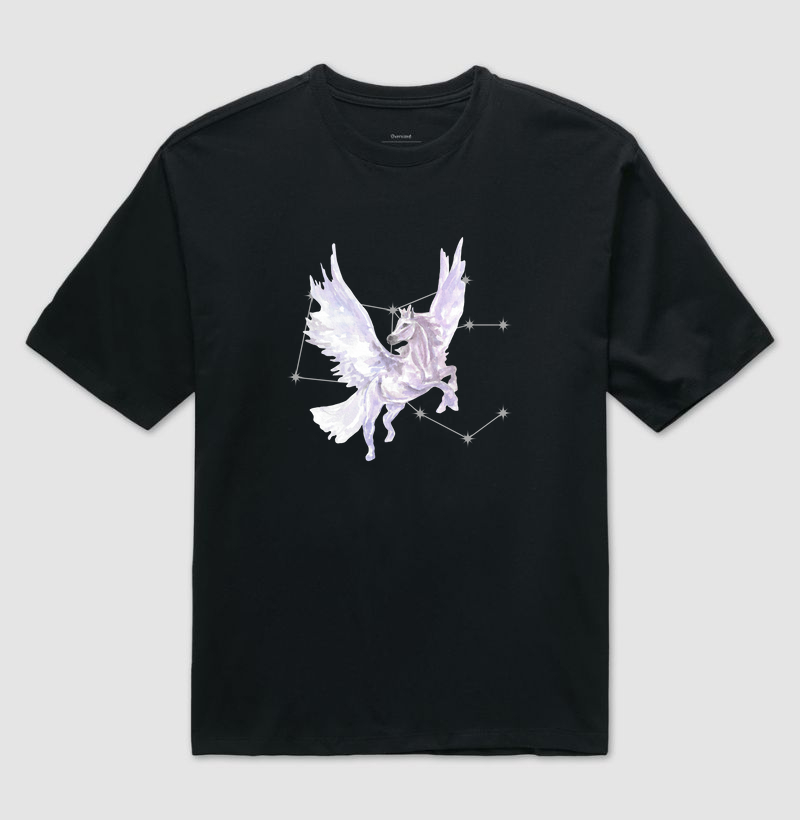 Pégaso e sua Constelação