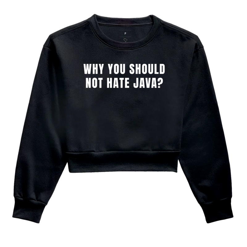 Why you should not hate Java?
