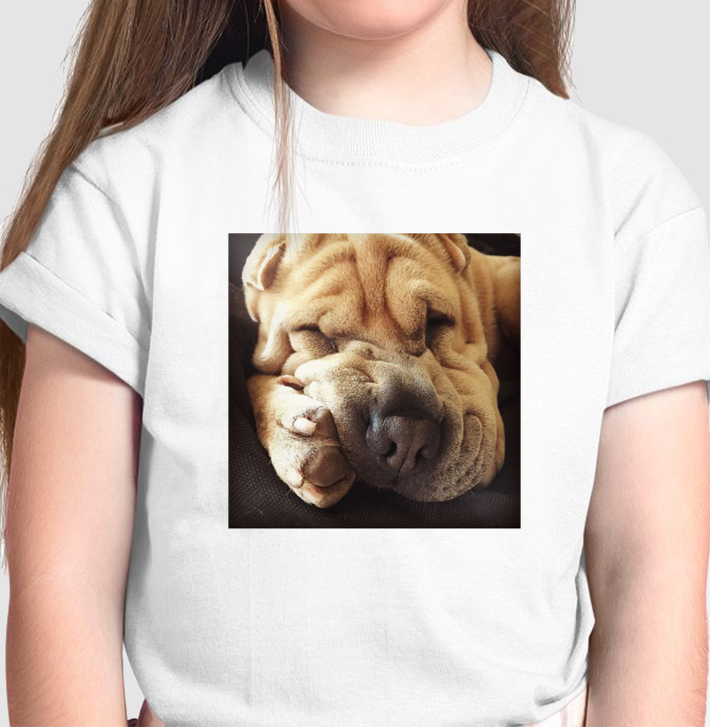 Sleeping Sharpei - Mini