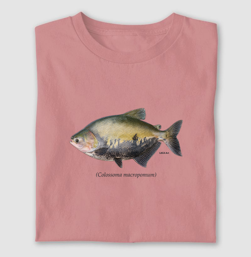 Tambaqui
