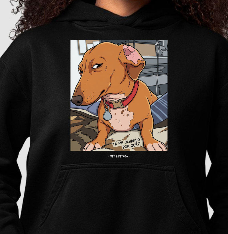 Tá me olhando por quê? (Dachshund)