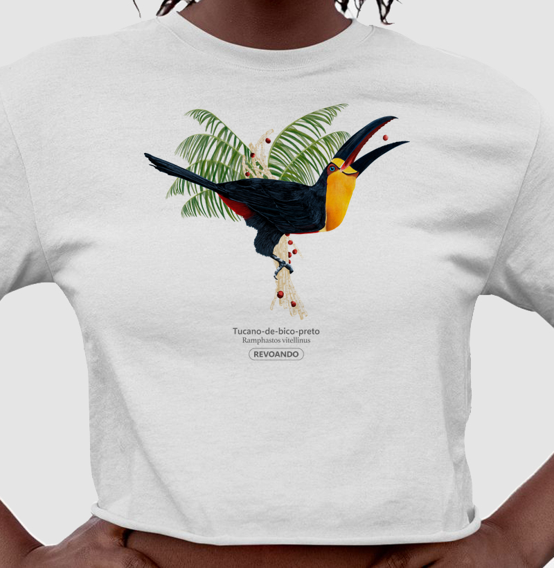 Aves do Brasil - Tucano-de-bico-preto - Cropped