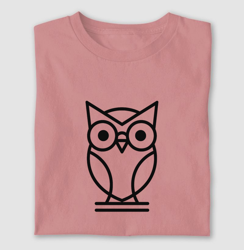 Professor Sabedoria Geométrica