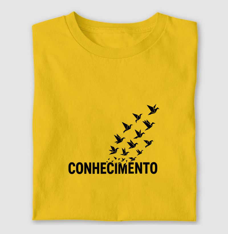 Professor Voar pelo Saber