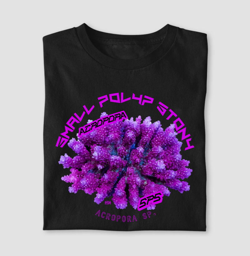 Coral SPS - Acropora sp. – Small Polyp Stony Coral