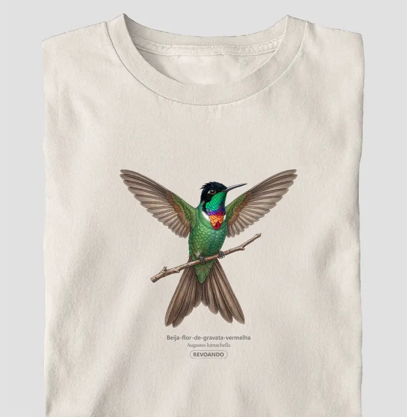 Traços Alados - Beija-flor-de-gravata-vermelha - Oversized