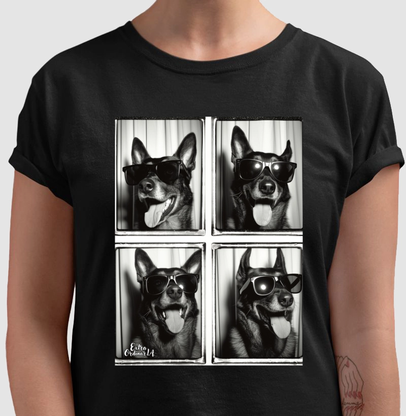 Ensaio Fotográfico Pastor Alemão 