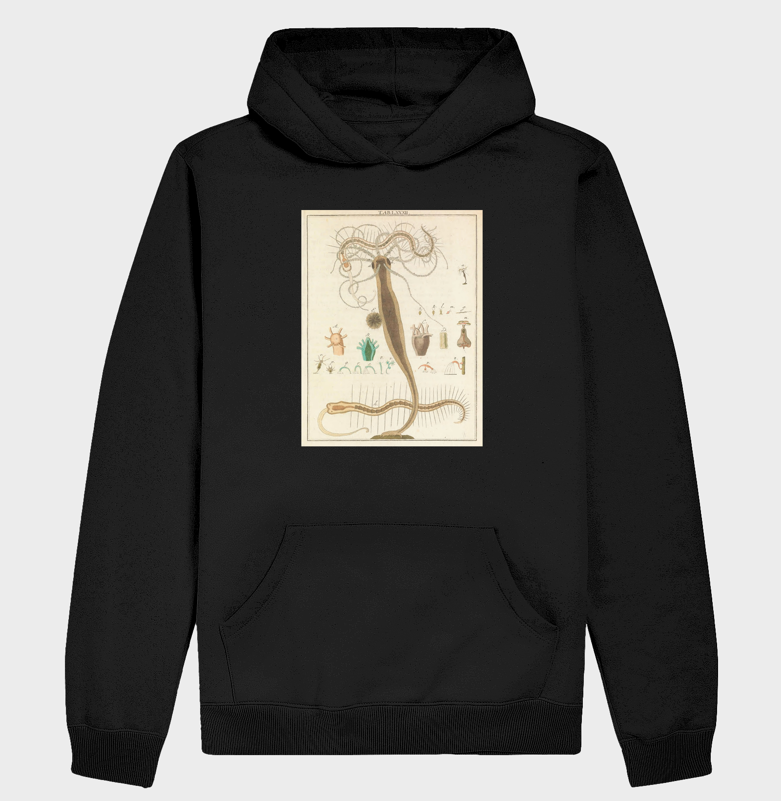 Amusement microscopique (1764)