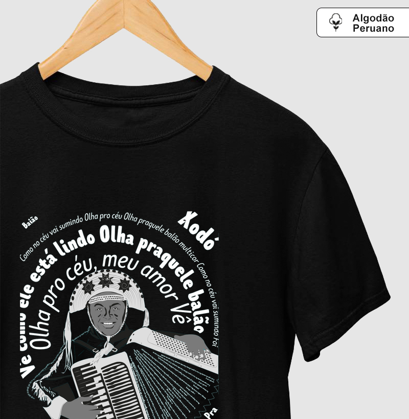 Acordeão de Mestre Lua