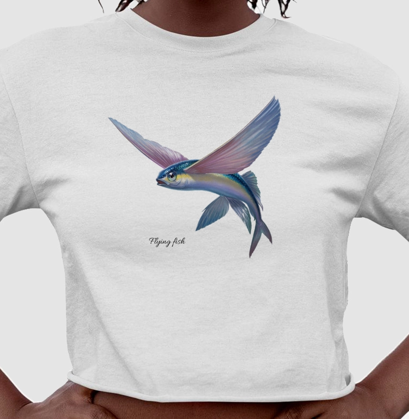 Flying Fish