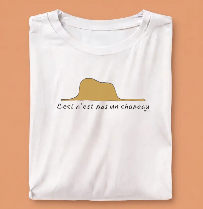 Jiboia – O Pequeno Príncipe (em francês)