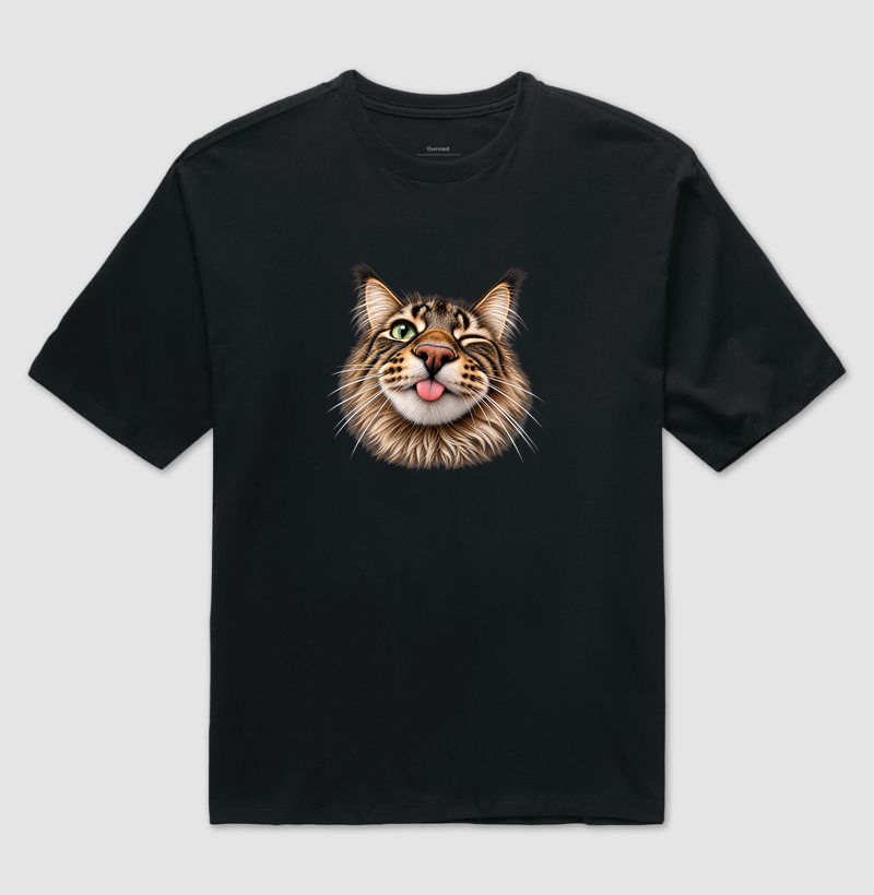 focinhos - maine coon