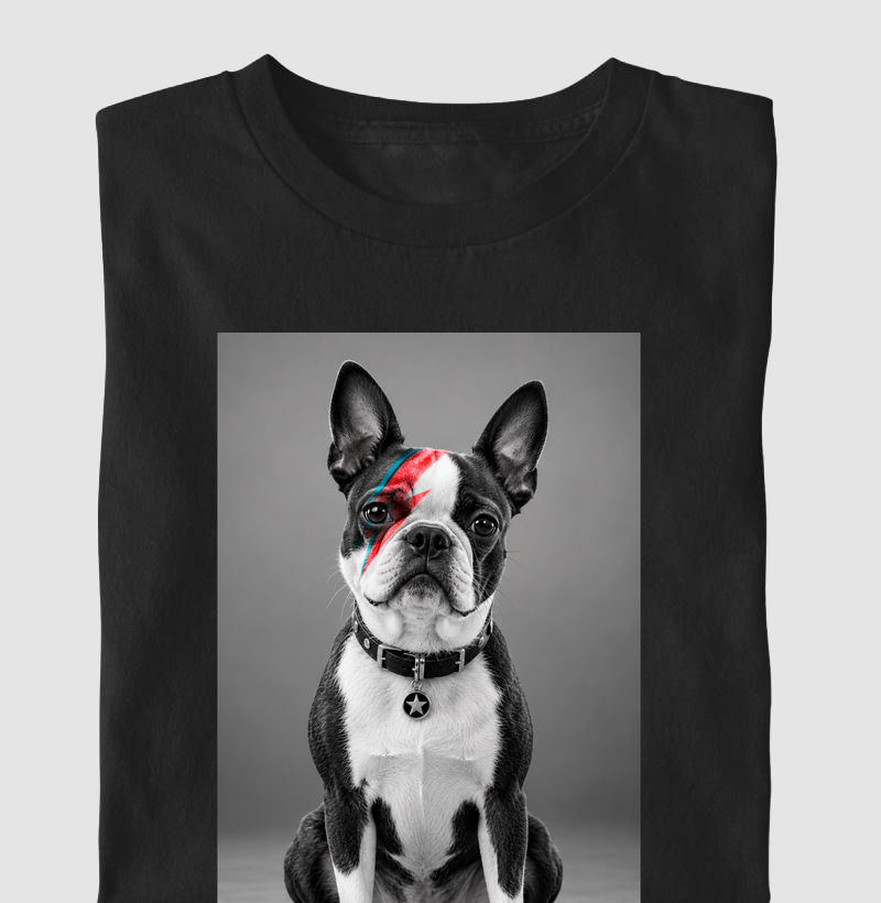 Glam Rock Boston Terrier ⚡