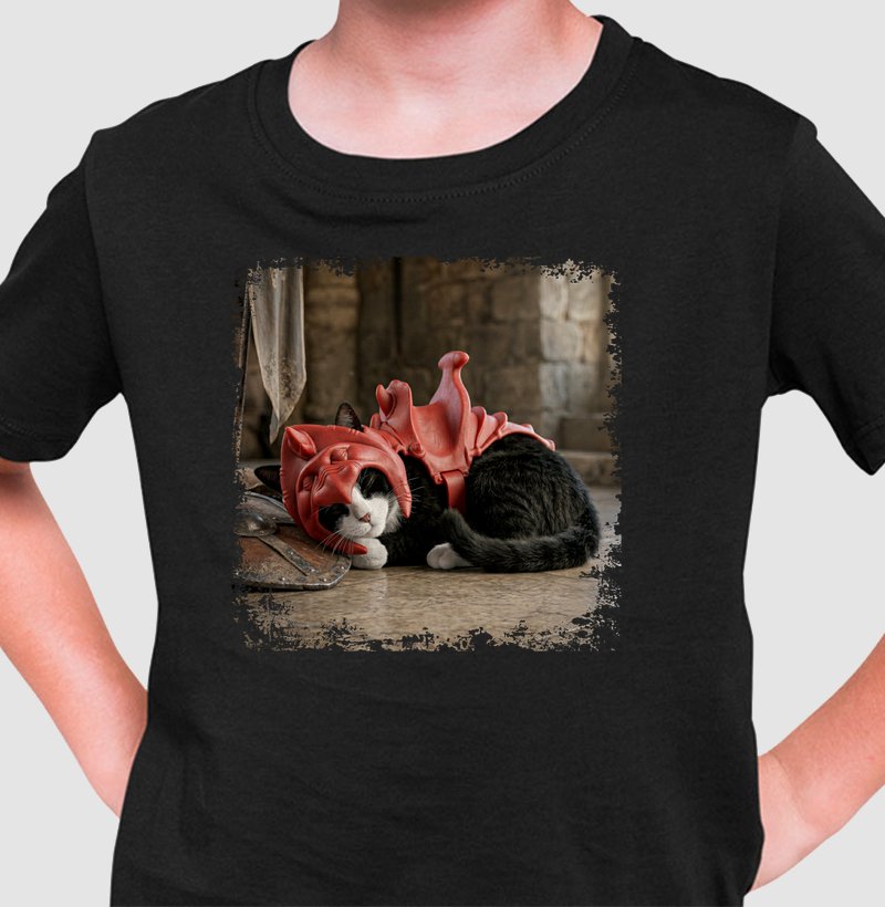 Gato Guerreiro - Frajola