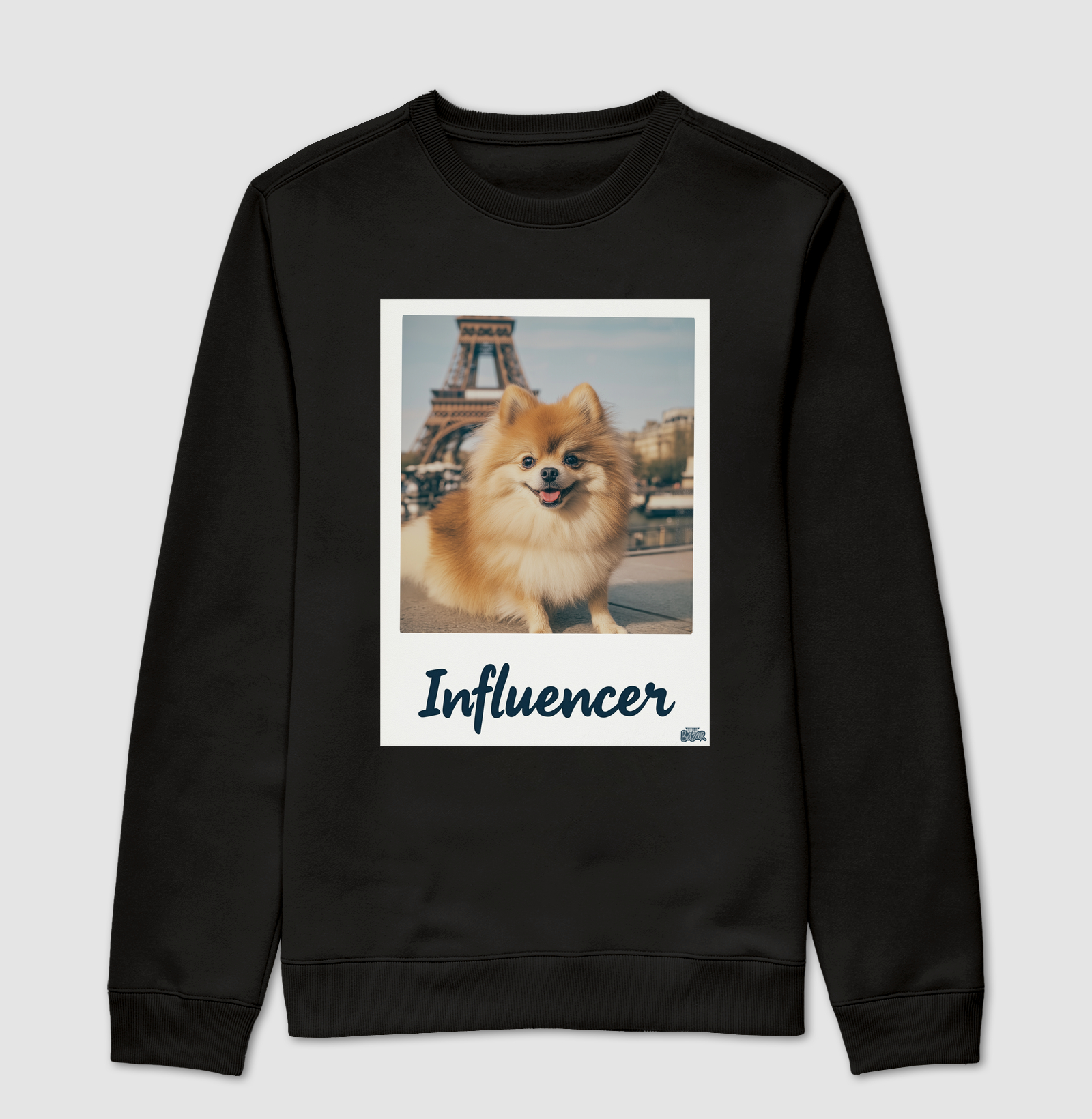 Influencer