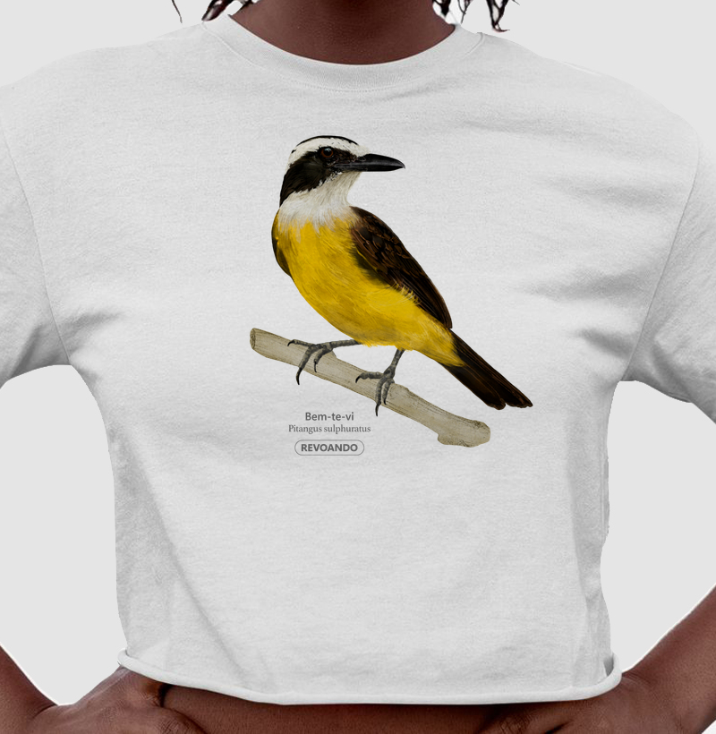 Aves do Brasil - Bem-te-vi - Cropped