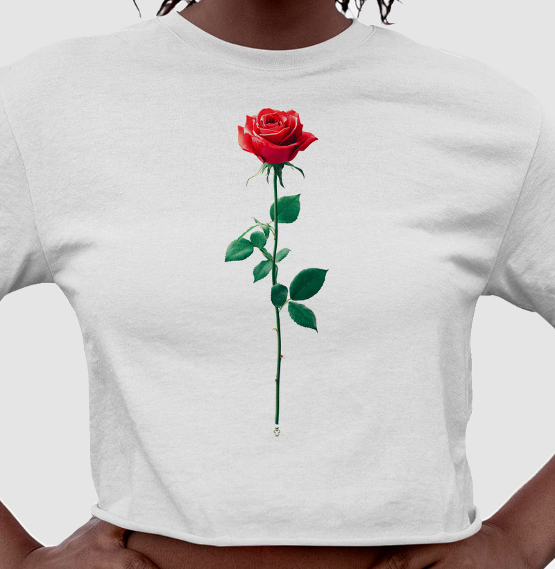 Rosa vermelha centralizada