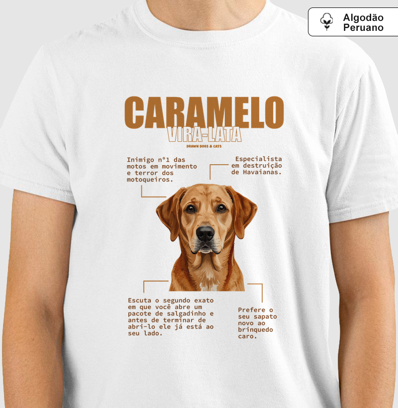 Vira-lata caramelo