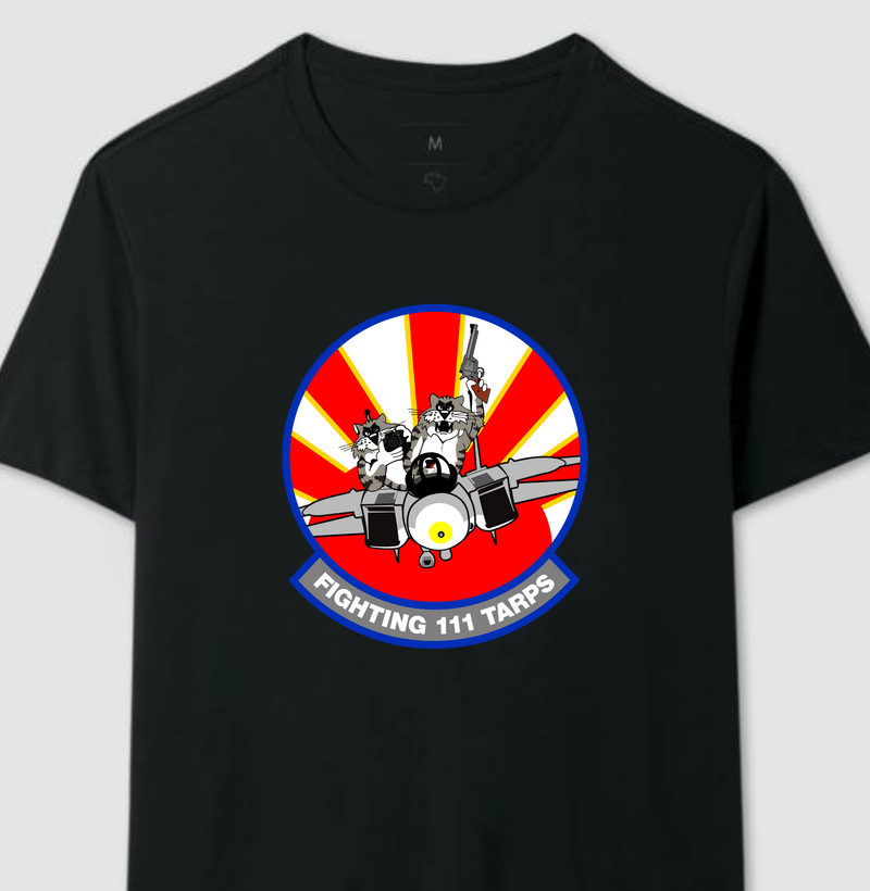 F-14 Tomcat - Fighting 111 TARPS