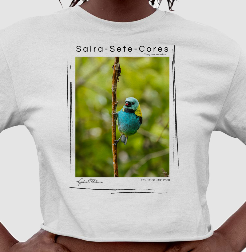 Saíra-Sete-Cores