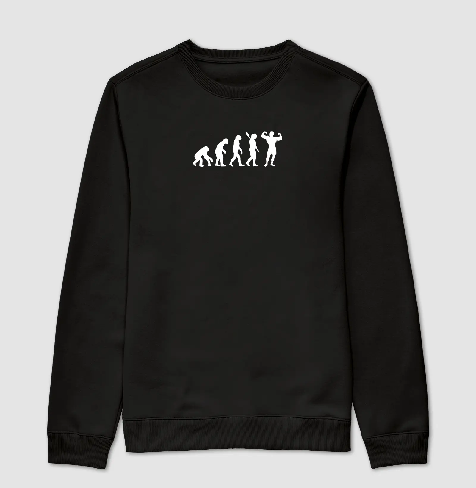 Suéter Moletom Slim Evolução do Homem