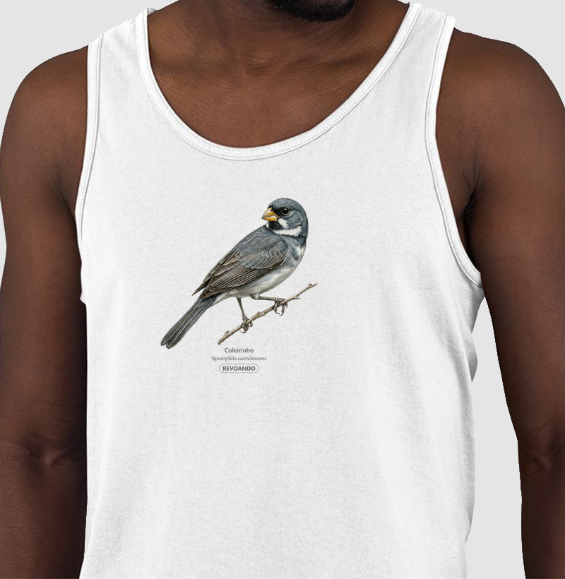 Aves do Brasil - Coleirinho II - Regata