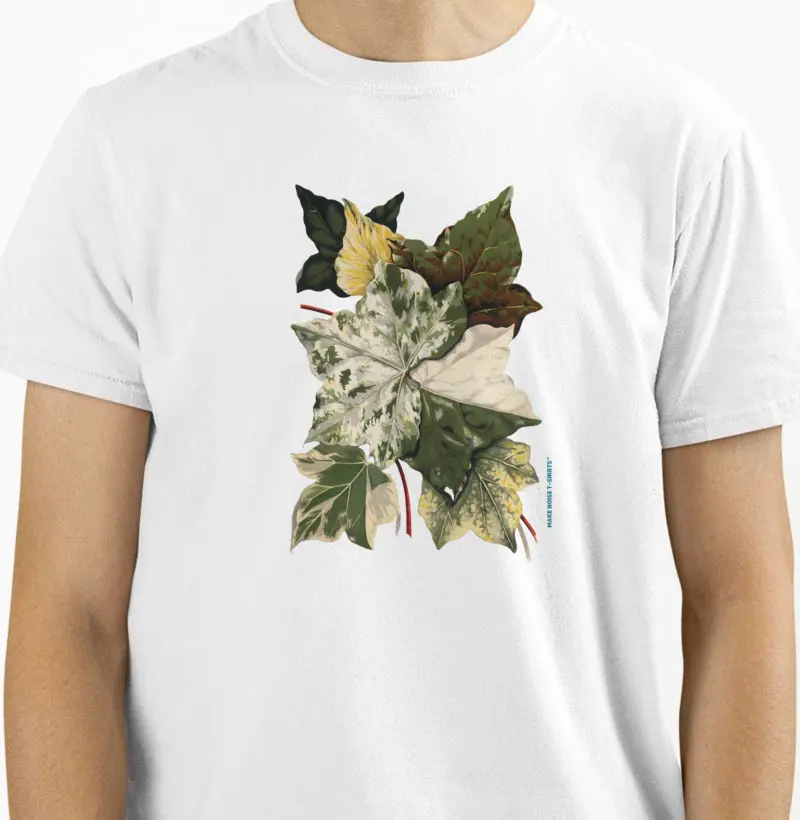 THE IVY, A MONOGRAPHY (1872) por Shirley Hibberd 