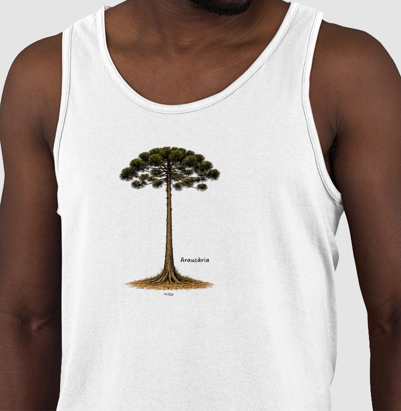 Araucária