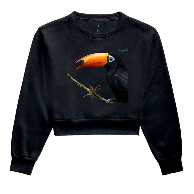 Tucano-Toco