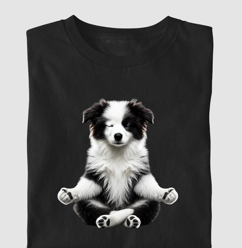 Border Collie Meditando