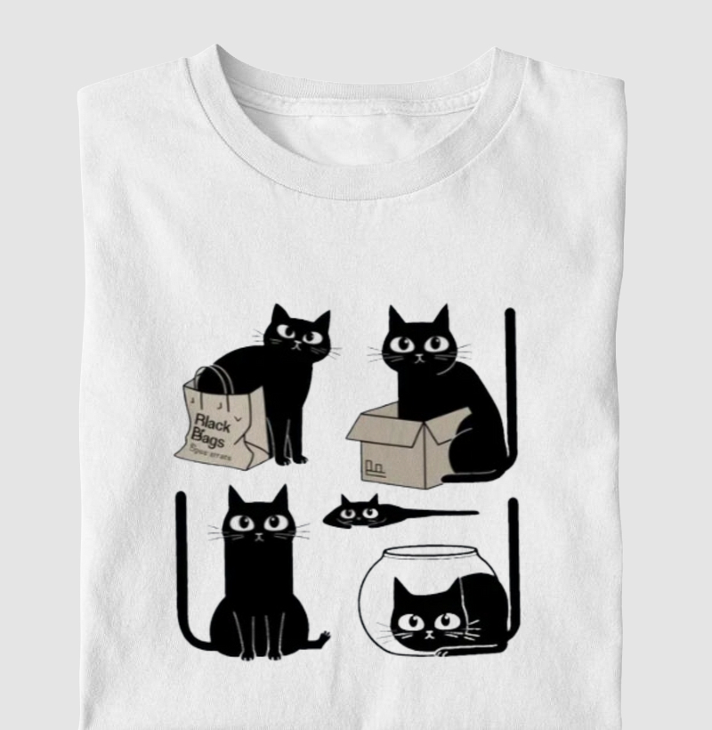 Gato cabe em todo lugar