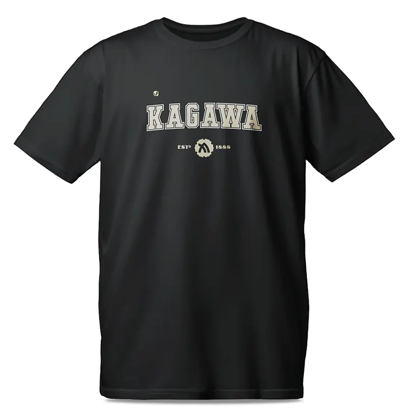 Província de Kagawa
