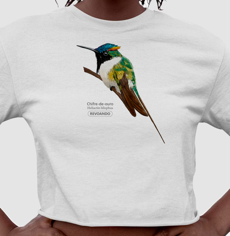 Aves do Brasil - Chifre-de-ouro - Cropped