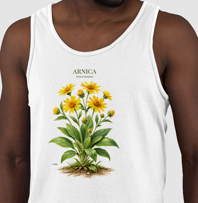 Arnica