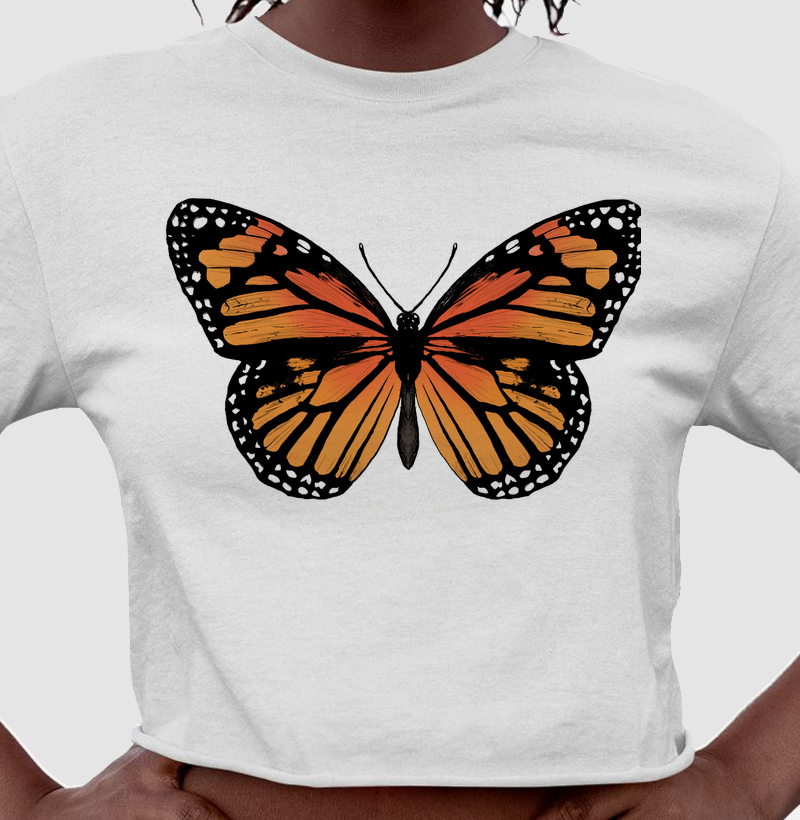 Borboleta