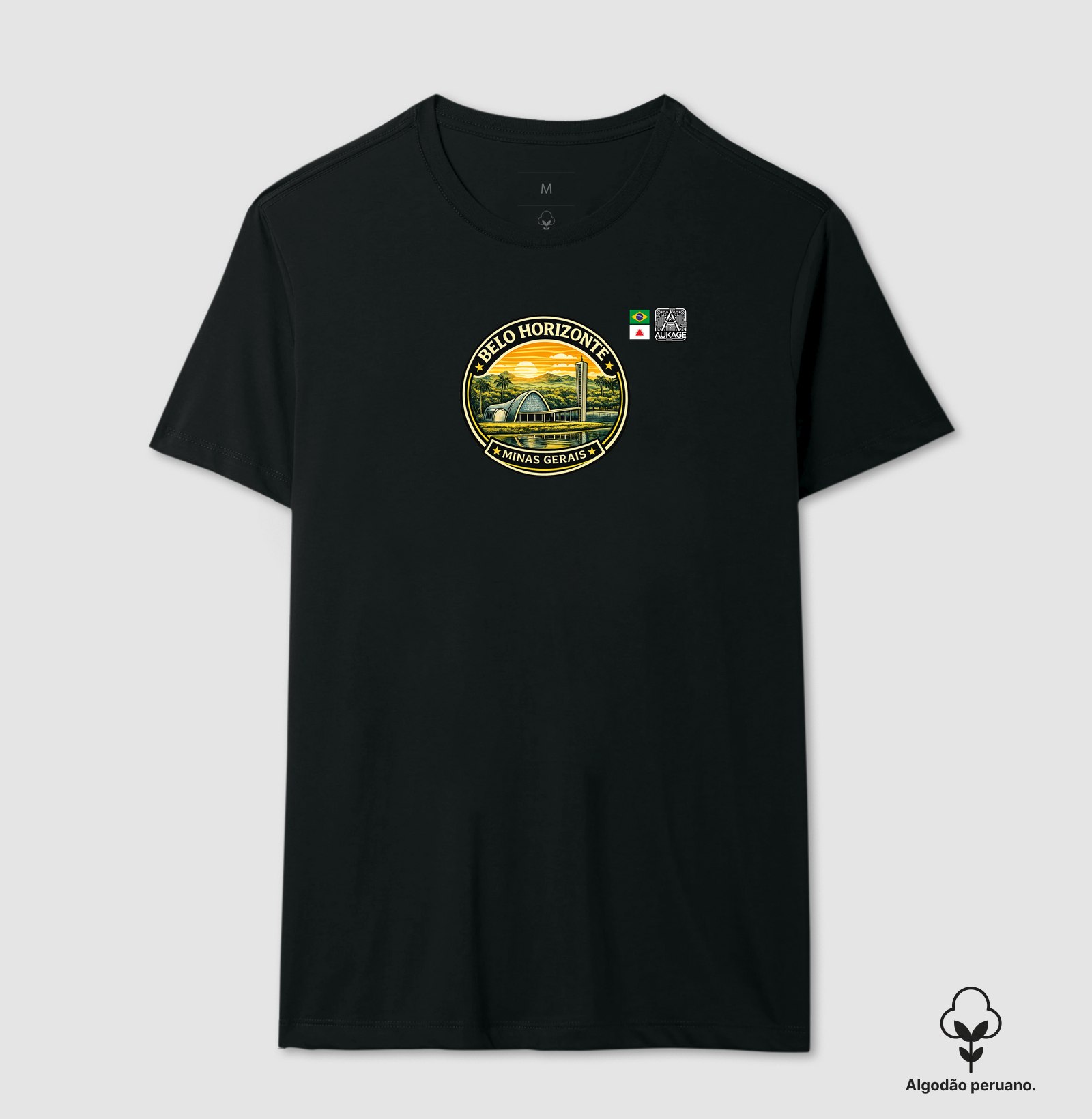 Belo Horizonte Vintage – Pampulha Ícone de Minas
