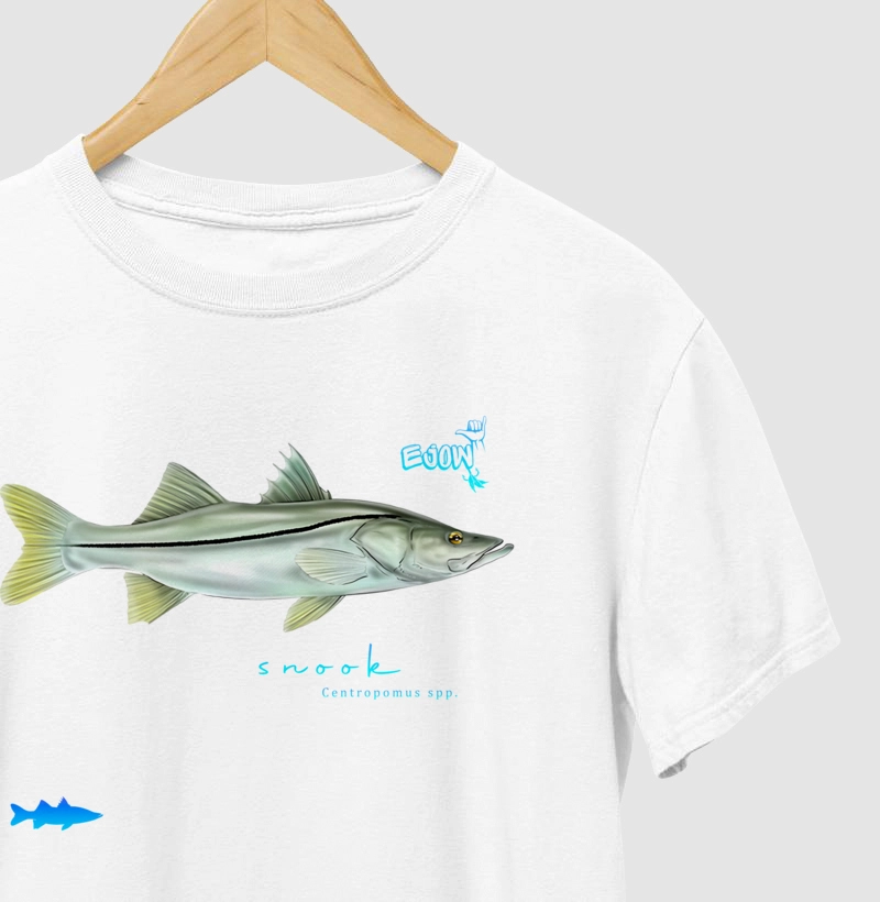 SNOOK