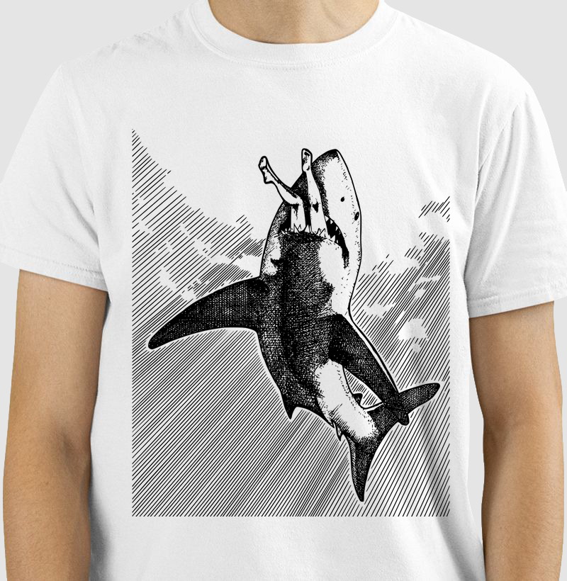Shark Attack!!!