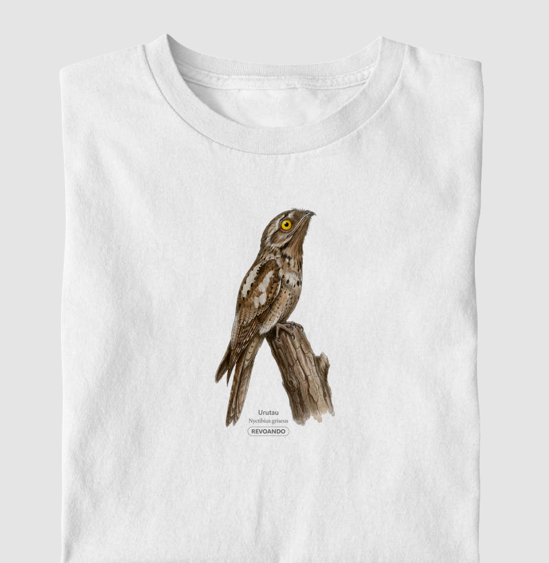 Traços Alados - Urutau II