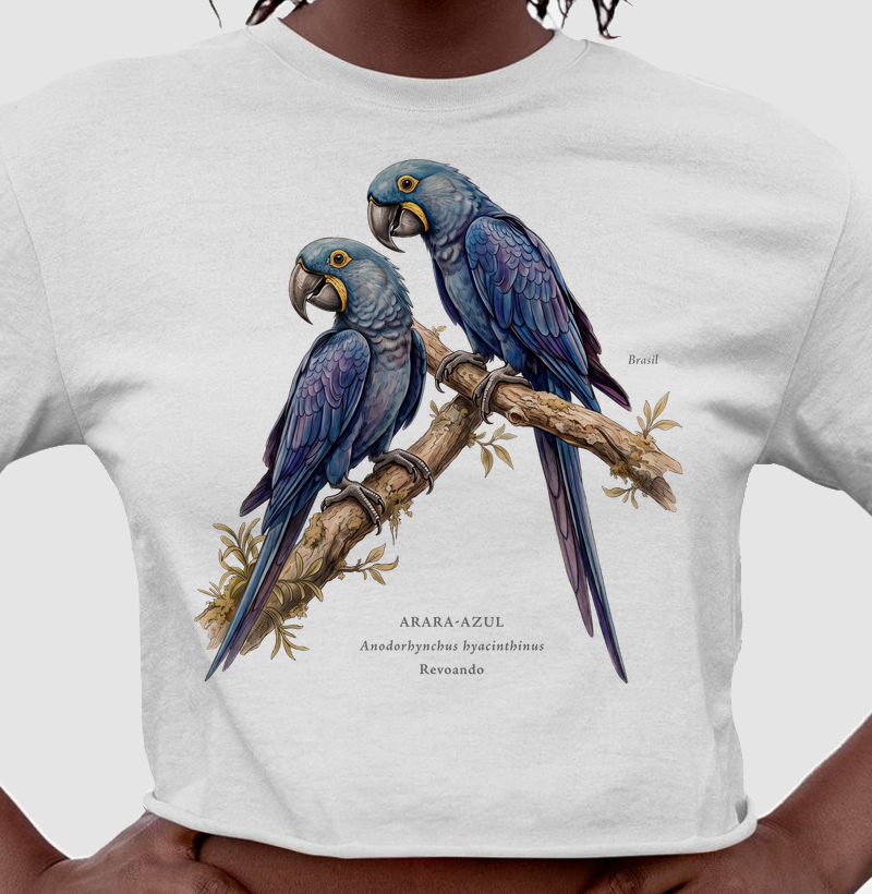 Naturalistas - Arara-azul - Cropped