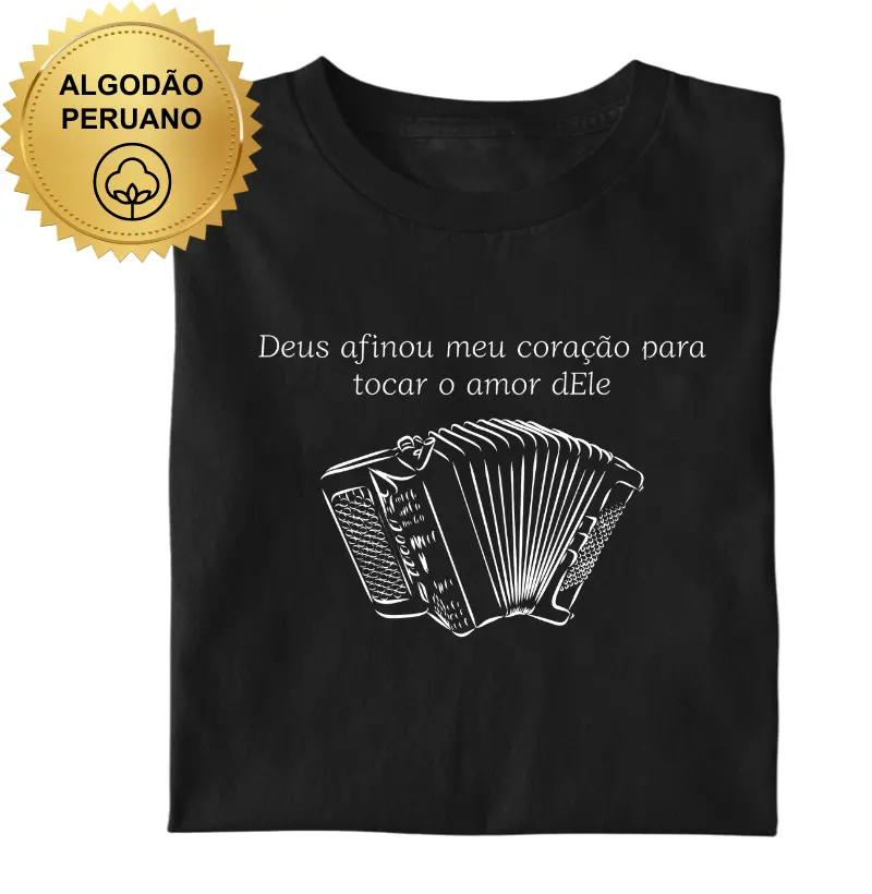 Sanfona - Deus afinou meu coração para tocar o amor dEle