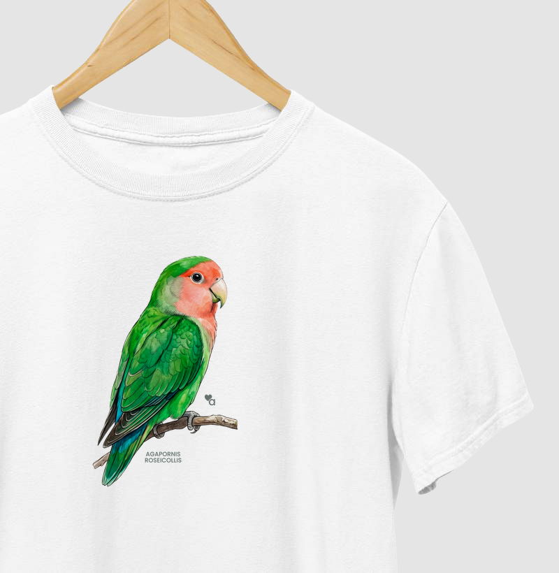 Aves - Agapornis Roseicollis